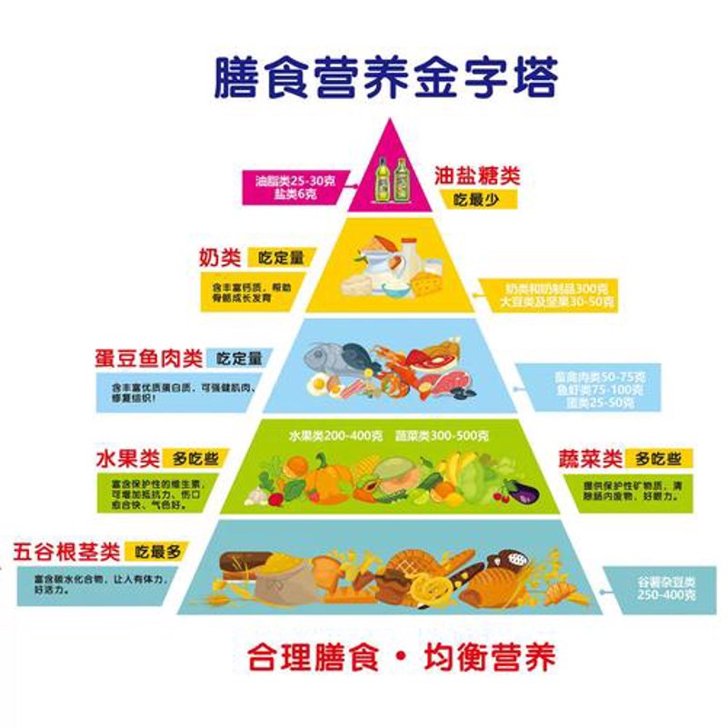营养咨询：打造健康生活的科学引擎